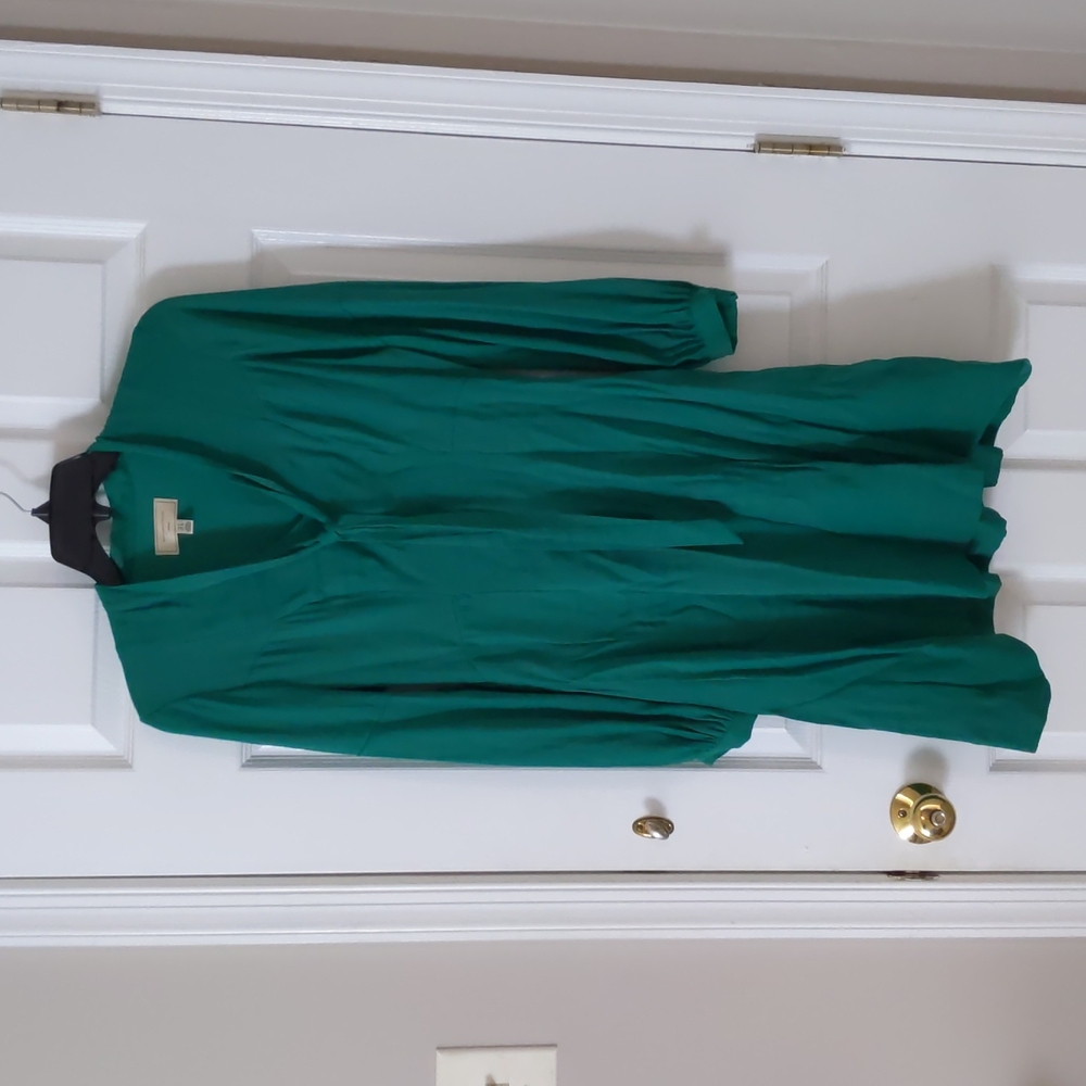 Green Anthropologie, long sleeved mid length dress size 2